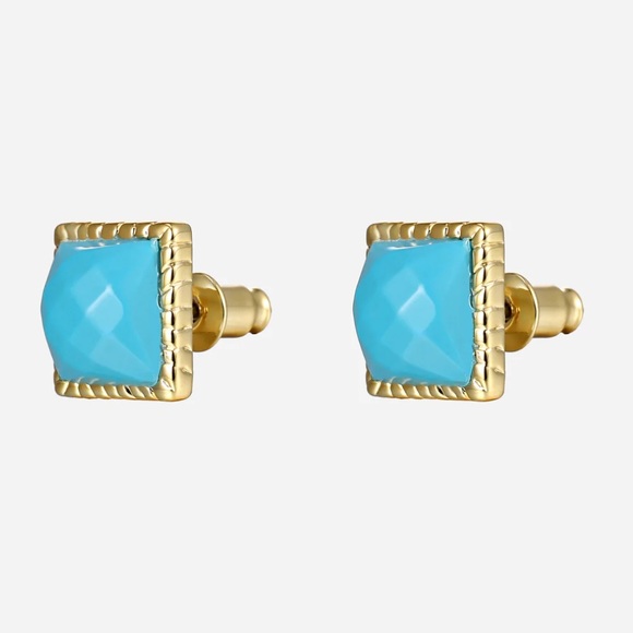 Victoria Emerson Jewelry - Victoria Emerson Mollyann Athena earrings new in packaging